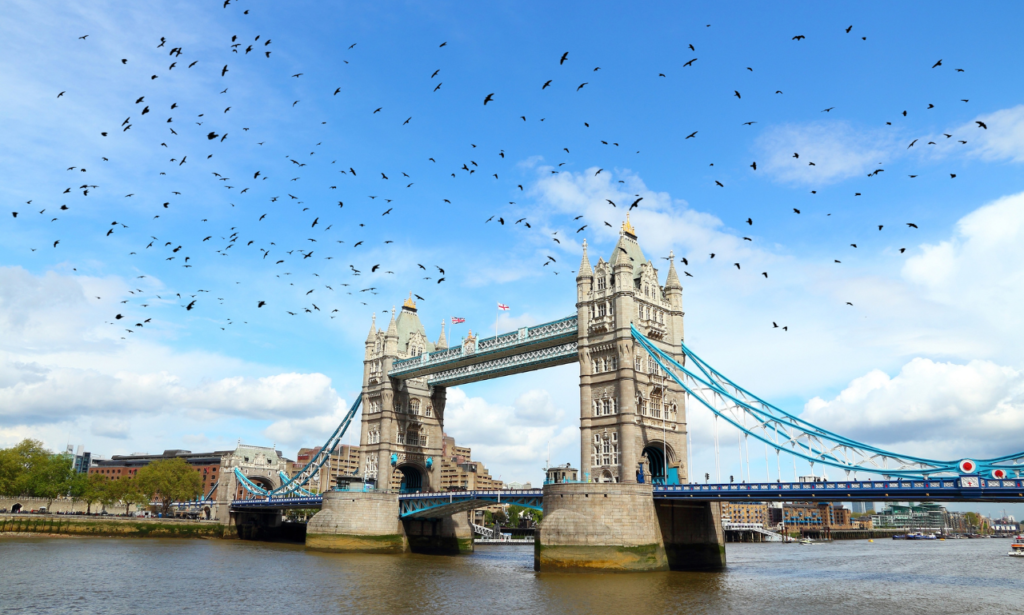 Tower Bridge
